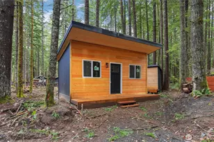 56115 Kernahan Rd E, Ashford, WA 98304 - Photo 18