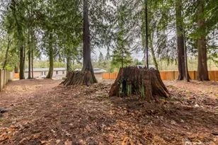 225 N Lake Roesiger Rd, Snohomish, WA 98290 - Photo 38