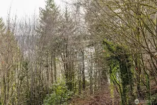 160 NE Virginia Ave, Belfair, WA 98528 - Photo 22