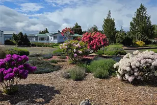 52 Libby St, Sequim, WA 98382 - Photo 6