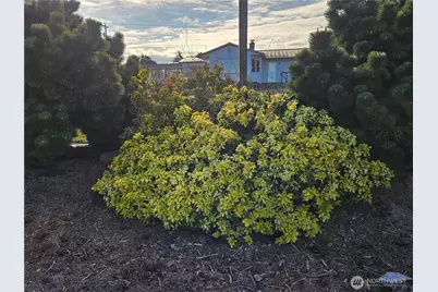 52 Libby Street, Sequim, WA 98382 - Photo 30