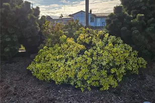 52 Libby St, Sequim, WA 98382 - Photo 30