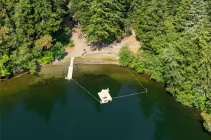 18417 Blue Hills Loop SE, Yelm, WA 98597 - Photo 20