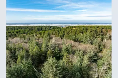 2815 Willows Rd #336, Seaview, WA 98644 - Photo 22