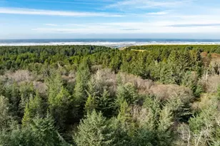 2815 Willows Rd, Seaview, WA 98644 - Photo 22