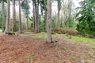 22105 61st St E, Lake Tapps, WA 98391 - Photo 34