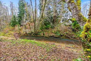 288 S Valley Rd, Naselle, WA 98638 - Photo 32