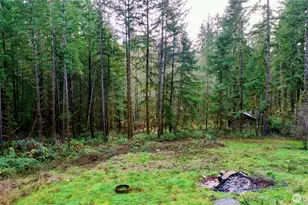 10185 May Ranch Ln SW, Port Orchard, WA 98367 - Photo 12