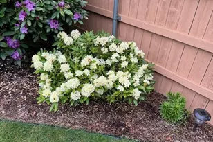 130 Dice Pl, Walla Walla, WA 99362 - Photo 36