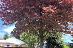 130 Dice Pl, Walla Walla, WA 99362 - Photo 40