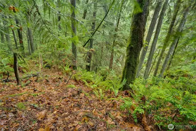 2909 144th Street NW, Gig Harbor, WA 98332 - Photo 14