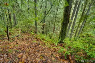 2909 144th St NW, Gig Harbor, WA 98332 - Photo 14