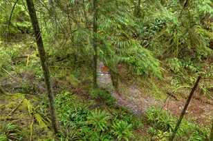 2909 144th St NW, Gig Harbor, WA 98332 - Photo 12