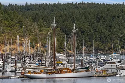 241 Warbass Way #A202, Friday Harbor, WA 98250 - Photo 36