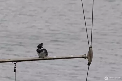 241 Warbass Way #A202, Friday Harbor, WA 98250 - Photo 28