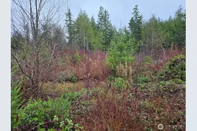 0 Nka Bowes Road N, Hoquiam, WA 98550 - Photo 14