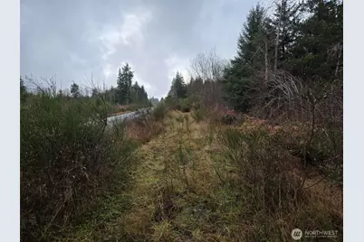 0 Nka Bowes Road N, Hoquiam, WA 98550 - Photo 8