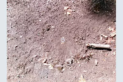 6724 SE Sedgwick Road, Port Orchard, WA 98366 - Photo 6