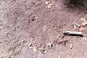 6724 SE Sedgwick Rd, Port Orchard, WA 98366 - Photo 6