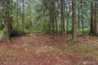 1704 186th Avenue NW, Lakebay, WA 98349 - Photo 40