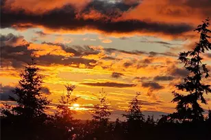 1028 Circle Dr, Camano Island, WA 98282 - Photo 38