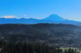 22014 130th St E, Bonney Lake, WA 98391 - Photo 16