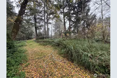 764 Tern Court, Ocean Shores, WA 98569 - Photo 4