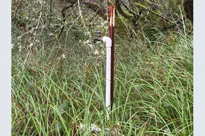 764 Tern Court, Ocean Shores, WA 98569 - Photo 8