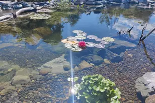 8017 64th St SE, Snohomish, WA 98290 - Photo 36