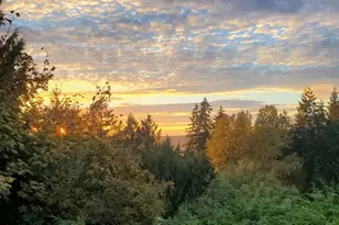 12408 58th Ave, Gig Harbor, WA 98332 - Photo 38