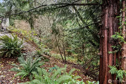12408 58th Avenue, Gig Harbor, WA 98332 - Photo 32
