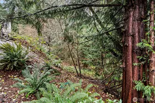 12408 58th Ave, Gig Harbor, WA 98332 - Photo 32