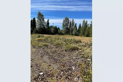 1726 Duvall Avenue NE, Renton, WA 98056 - Photo 6