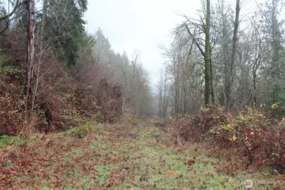 7104 Ocean Beach Highway, Longview, WA 98632 - Photo 22