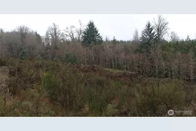 7104 Ocean Beach Highway, Longview, WA 98632 - Photo 8