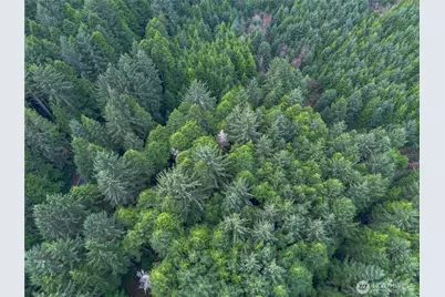 0 830505000200 Grays Harbor Coun, Aberdeen, WA 98520 - Photo 4