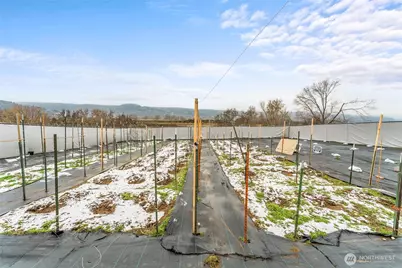 [Address not provided], Oroville, WA 98844 - Photo 4