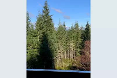 62 NE Southridge Drive, Belfair, WA 98528 - Photo 34