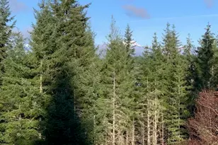 62 NE Southridge Dr, Belfair, WA 98528 - Photo 34