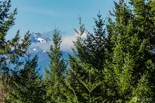 62 NE Southridge Dr, Belfair, WA 98528 - Photo 32