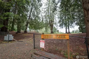 371 E Annas Way, Shelton, WA 98584 - Photo 36