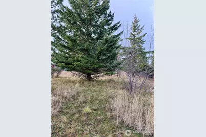 0 Morrison Canyon Lane, Cle Elum, WA 98922 - Photo 4