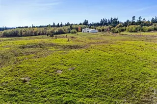 15115 Labrador Ln SW, Rochester, WA 98579 - Photo 38