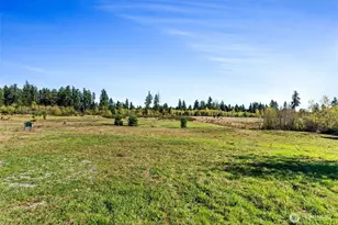 15115 Labrador Ln SW, Rochester, WA 98579 - Photo 36