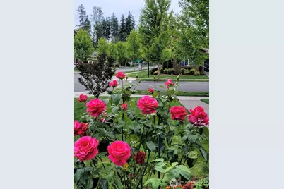 18727 145th Street E, Bonney Lake, WA 98391 - Photo 14