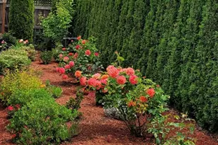 18727 145th St E, Bonney Lake, WA 98391 - Photo 22