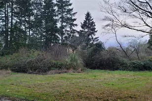 0 Y Ln, Ocean Park, WA 98640 - Photo 1