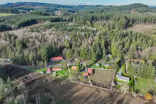 917 Byham Rd, Winlock, WA 98596 - Photo 2