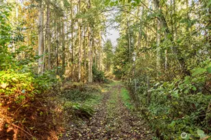 62 Pierson Ln, Sequim, WA 98382 - Photo 40