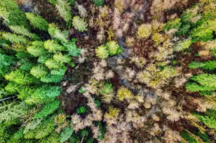 6551 Stone Farm Ln NW, Seabeck, WA 98380 - Photo 40